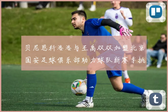 贝尼恩科洛洛与王禹双双加盟北京国安足球俱乐部助力球队新赛季挑战